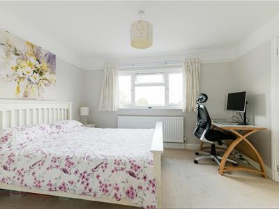 Picture 13